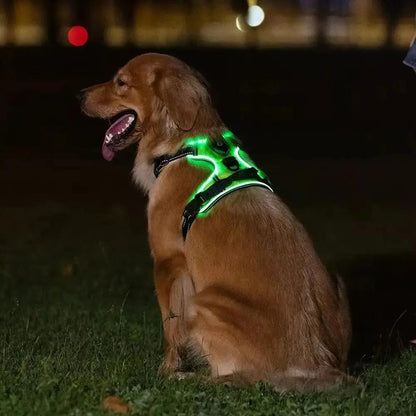 ZampaLux - La pettorina LED ricaricabile per passeggiate sicure e visibili™ ZAMPALUX
