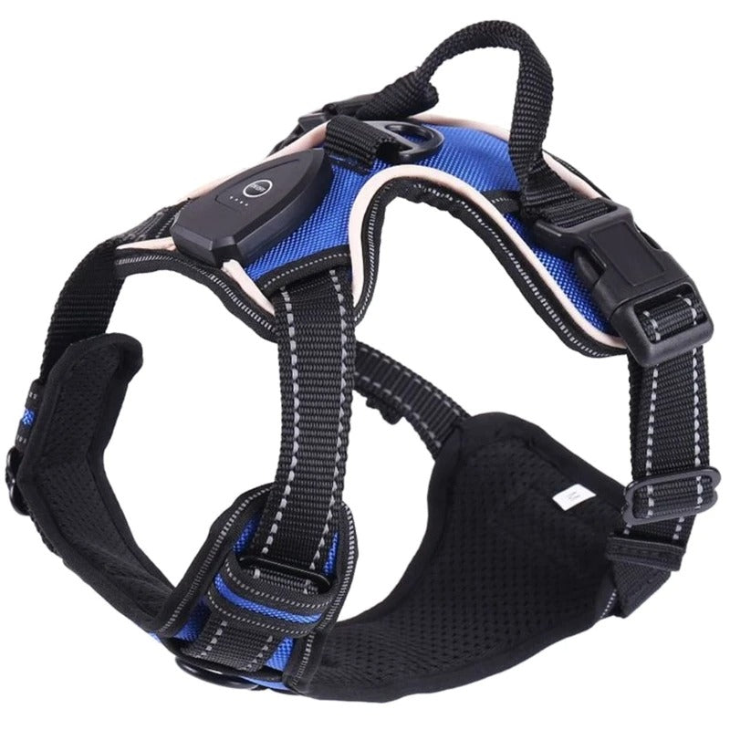 ZampaLux - La pettorina LED ricaricabile per passeggiate sicure e visibili™