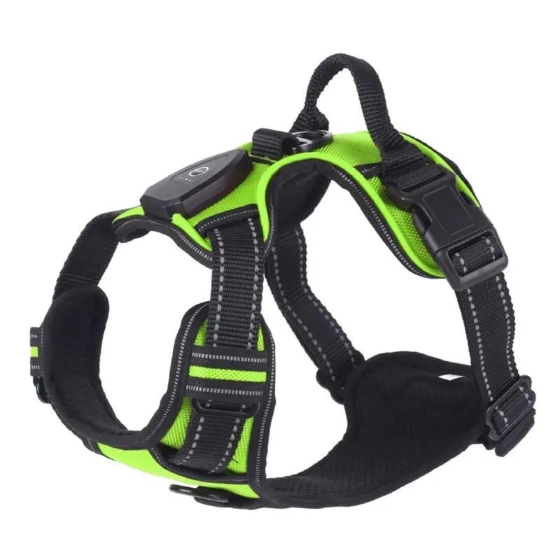 ZampaLux - La pettorina LED ricaricabile per passeggiate sicure e visibili™ ZAMPALUX