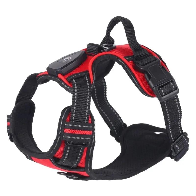 ZampaLux - La pettorina LED ricaricabile per passeggiate sicure e visibili™ ZAMPALUX